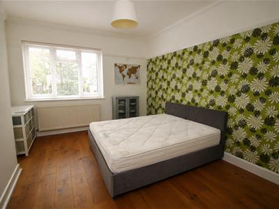 Picture 20